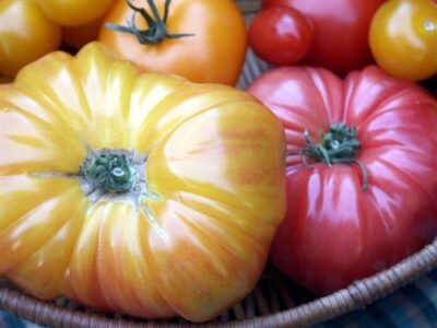 The Perfect Tomato Sandwich Image